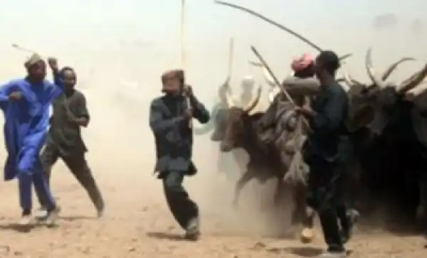 Continuous Clash: Oyo State Govt. Plans To Establish Cattle Ranches For Herdsmen